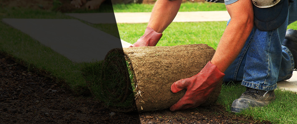 Port Lavaca Landscapers
